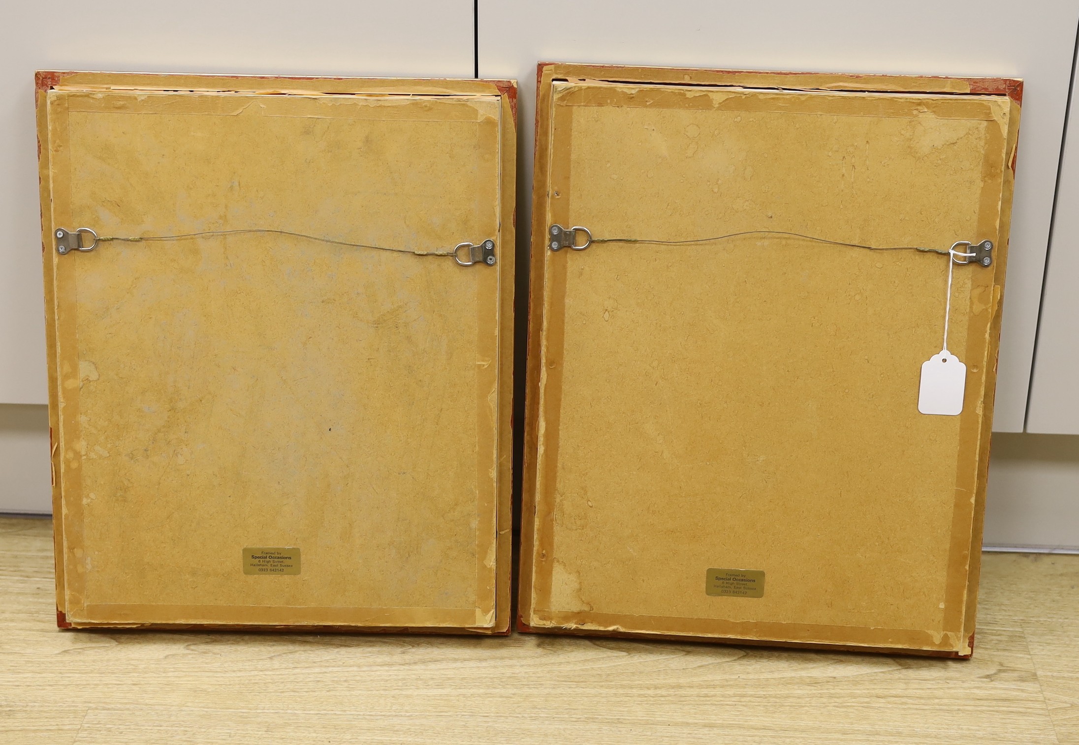 C.R.E. pair of oils on board, Studies of a Green Woodpecker and a Magpie, initialled and dated '66, 38 x 28cm